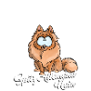 I'm German Spitz White Dwarf