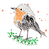 Robin
