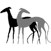 Galgos