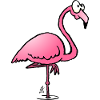Whimsical Pink Flamingo Illustration