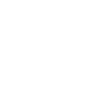Custom Bicycle Cruiser Illustration