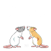 Ratrovert VI