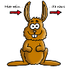 hase_02_b