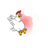 Plume de poussin