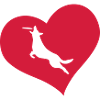 Dog sport love