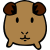 guinea pig