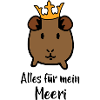 Meerschweinchen