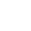 Bracco Italiano Dog Owner Evolution Dog Gaveidee