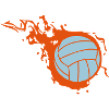balloon volleyball flame fireball 302