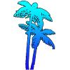 PALMS