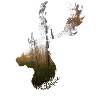 deer