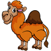 Camel dromedary