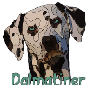 Dalmatian