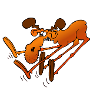 Moose