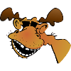 Moose with sunglasses