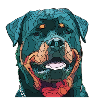 rottweiler 1