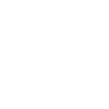 Funky Lion Darks