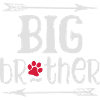 Big Brother Dog