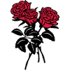 roses