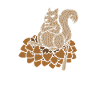 Protect your nuts gift