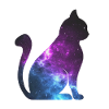 Galaxy Cat Space Gift