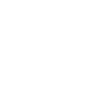 Labrador glitter