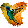 humming-bird