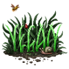Grow Vegan