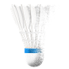 Badminton shuttlecock