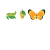 Give Yourself Time. Butterfly Design