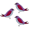 Purple Bird Pattern Trio