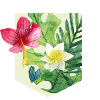 summer flowers
