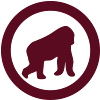gorilla icon