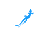 Gecko