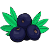 Acai bär Kål bär