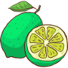 Limes limes
