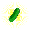 Pickle Star Pickle