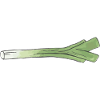 Leek just a leek