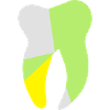 tooth graphic