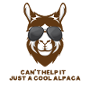 just a cool alpaca gift