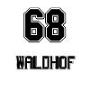 Mannheim 68 Waldhof
