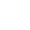 Fundamental Rights