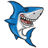 Shark - Fish