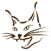 Chat Lynx chat sauvage