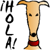 Galgo