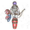 The Last Spaceman