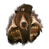 bear