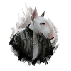 bullterrier