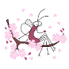 Djen Wana Cherry Blossom