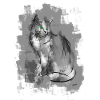 chat